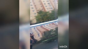 Осмотр #ТайотаЛэндКрузер200 #ToyotaLandCruiser200 2020г.