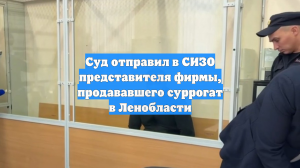 Суд отправил в СИЗО представителя фирмы, продававшего суррогат в Ленобласти