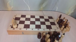 Ход коня или шахматное упражнение с конем