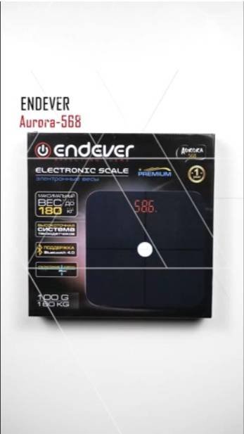 Электронные весы ENDEVER AURORA-568