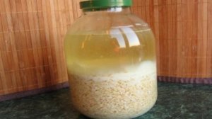Квас из овса без дрожжей