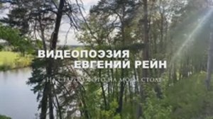 Видеопоэзия. Евгений Рейн «На старом фото на моем столе»