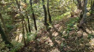 осенний эндуро променад