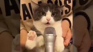 1 октября проверят системы оповещения по городам #shorts