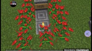 ❗⚡На могиле Губки Боба установили памятник на Троекуровском кладбище!