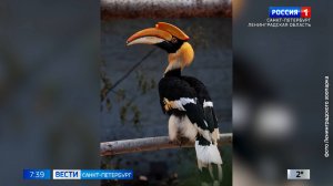 Вести Санкт-Петербург. Выпуск 07.35 от 01.10.2025