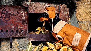 Что-то стало холодать, не пора ли нам ... Юмор