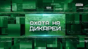 «Охота на дикарей»: пока не замело