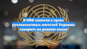 В ООН заявили о праве русскоязычных жителей Украины говорить на родном языке