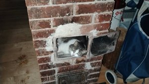 Джорик. VID_20250930_055747