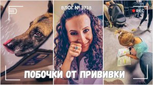 Побочки от прививки | Как дела у Рекса - ВЛОГ №3738 - 30.09.25