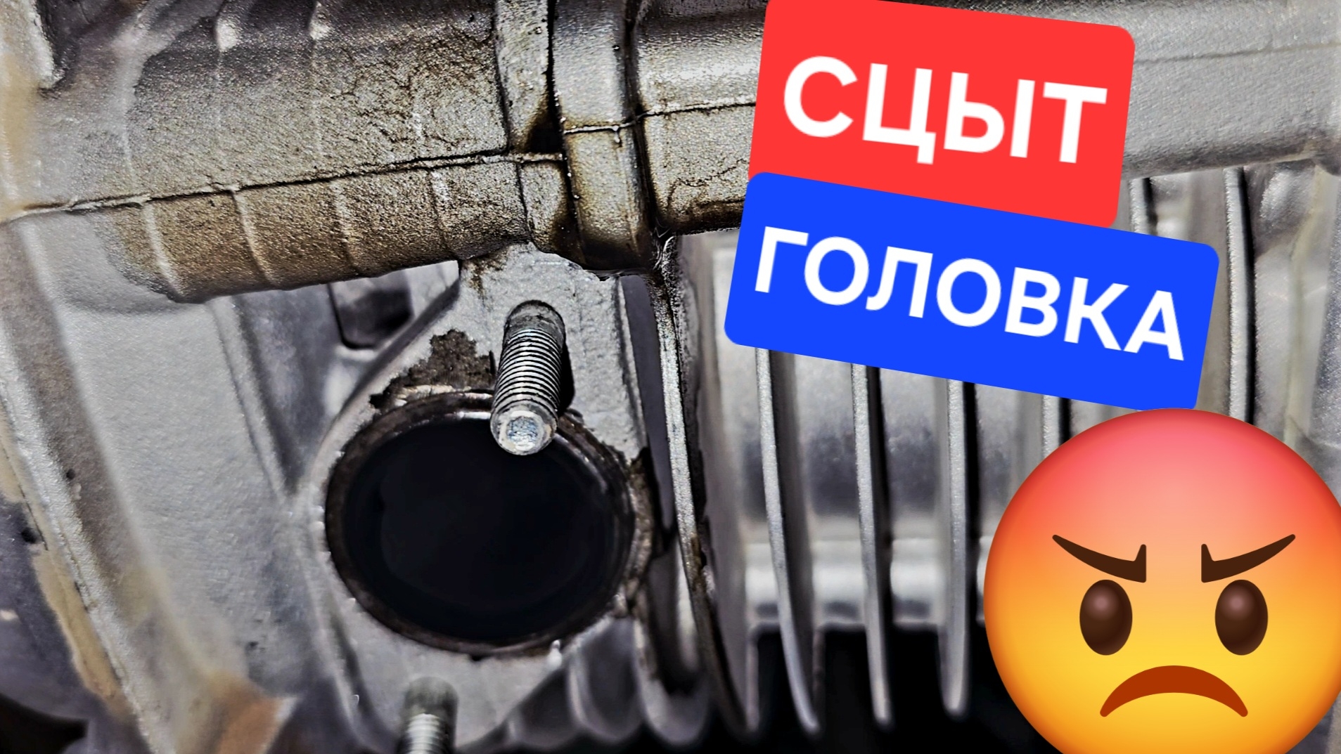 Течёт головка 🤬 jilang z-max 🤯 смотреть онлайн