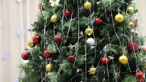 Новый год 2016-2017