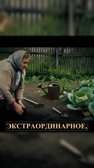 Нейроконтент - новый уровень лжи в интернете