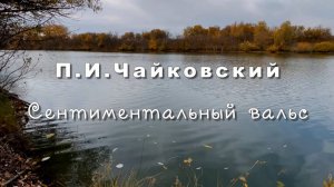 П.И.Чайковский. Сентиментальный вальс. Музыка для души
