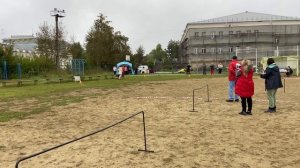 2.  выражено/перв АРЕАЛ РОСЬ АВАЛОН (Team del Sol Nascente Franko – Хайди из Дома Алленс)