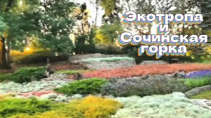 Экотропа и Сочинская горка
