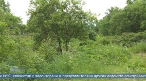 17.09.2025 На Сахалине уже больше недели ищут мужчину, отправившегося за ягодой