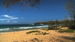 Эрнесто Кортазар. Послание в бутылке. Ernesto Cortazar. Message In A Bottle