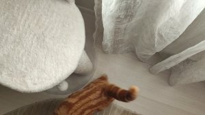 Солярий для сладкой булочки🥰☀🌝