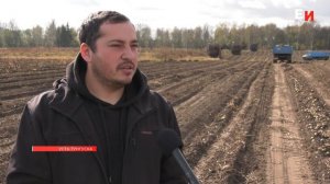 В ФЕРМЕРСКОМ ХОЗЯЙСТВЕ АЛИЕВЫХ ИДЕТ СБОР УРОЖАЯ