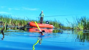 Вышла интересная РЫБАЛКА на ПОПЛАВОК а крупный карась радовал!!!