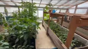 Пришкольный участок 2025г