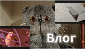 Мини влог Дани, проверяют тетрадки 💋