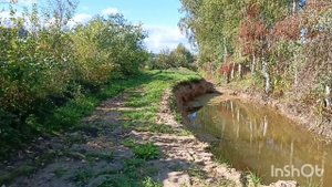 Опять в лесу. 12.09.25г.