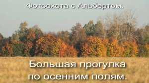 Фотоохота с Альбертом. Большая прогулка по осенним полям.