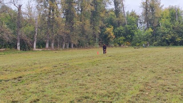 9.  выражено/перв РОССИЯ 2 ИЗ ФОРТУНА МЕРДИ (Баларис Кондор – Форца из Фортуна Мерди)