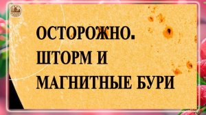 ОСТОРОЖНО. ШТОРМ И МАГНИТНЫЕ БУРИ СЕГОДНЯ 2 ОКТЯБРЯ 2025!