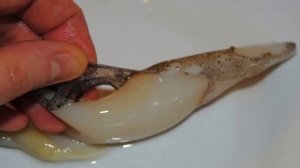 Кальмары в сметане