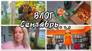 НАША НЕДЕЛЯ / ДОМАШНИЕ ДЕЛА/ ЯБЛОКИ, МАКДОНАЛЬДС МАГАЗИН УЖАСОВ! (качество видео в середине плохое)