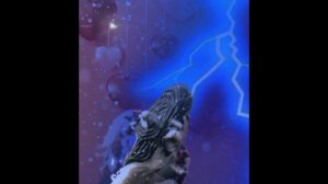 видео обращение!