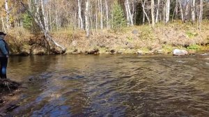 Байкальский дачный сезон 2025г. закрыт