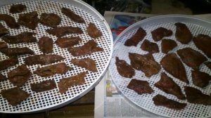 Мясные чипсы