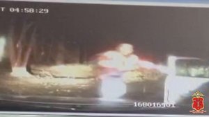 В Ленобласти задержан водитель, скрывшийся с места аварии и не подчинившийся сотрудникам полиции