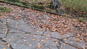 ЗОЛОТАЯ ОСЕНЬ,БАБЬЕ ЛЕТО,РАСПАКОВКА