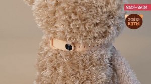 CCat16-10 Какао