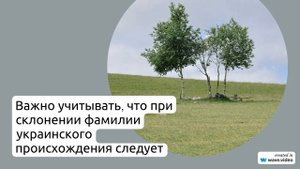 Фамилия Андрушкевич: происхождение, история и стильное склонение в имени и фамилии