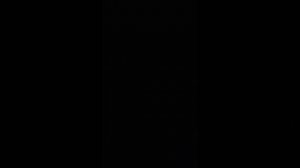 бумажная собака Рекс