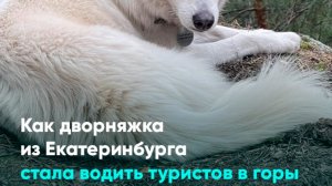 Как дворняжка из Екатеринбурга стала водить туристов в горы