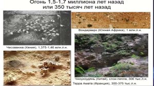 Почему обезьяны не становятся людьми. Антрополог Станислав Дробышевский