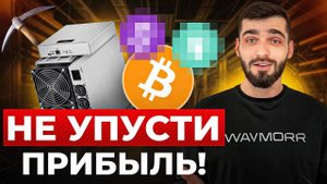 ТОП-5 монет для майнинга в 2025. Что приносит максимум прибыли?