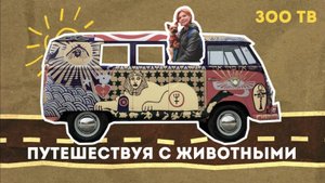 ЗОО ТВ. Путешествуя с животными. На машине в Плёс. Woof Travel Vanlife