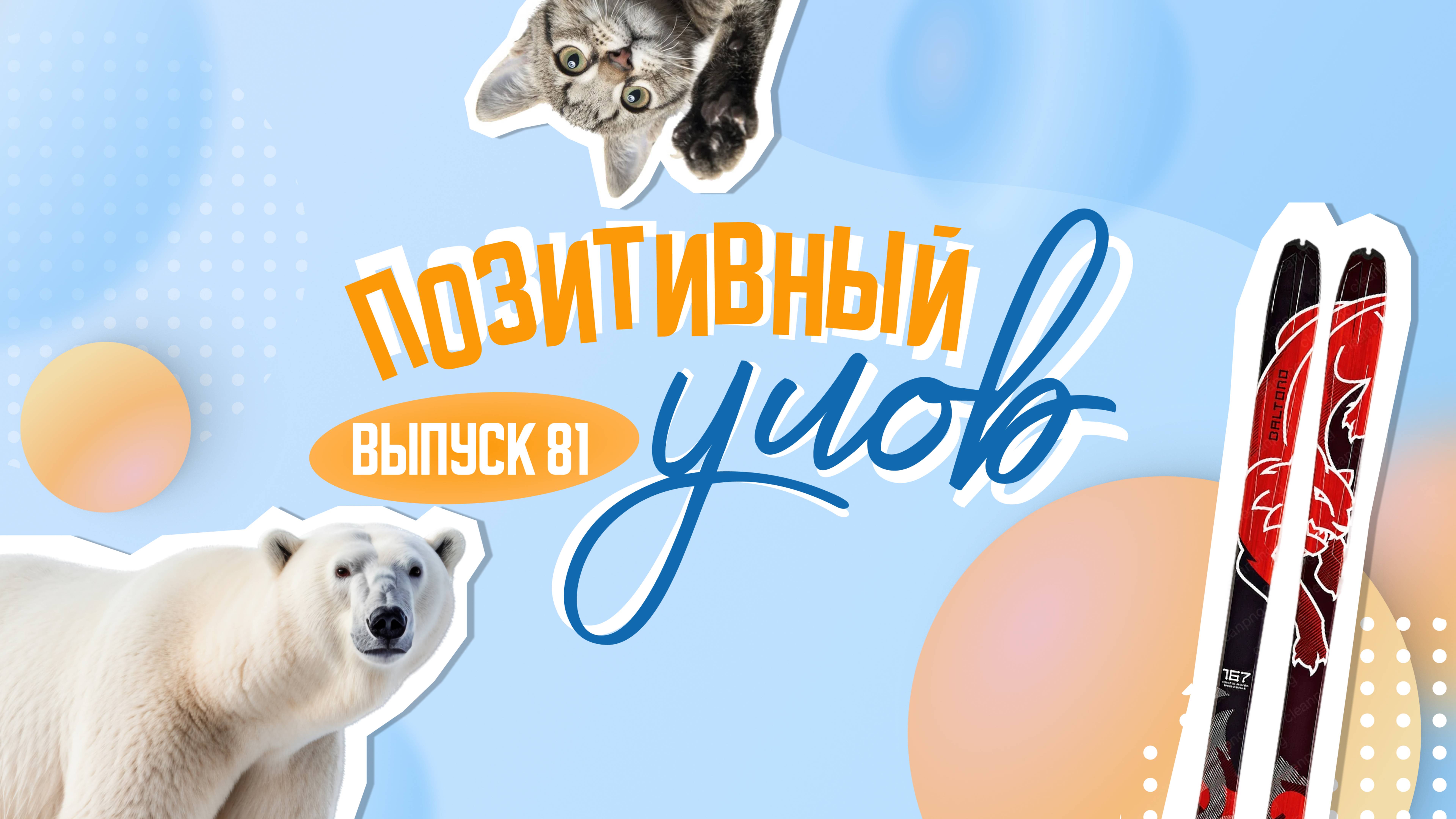 Самый высокий мост и птичий балет. 