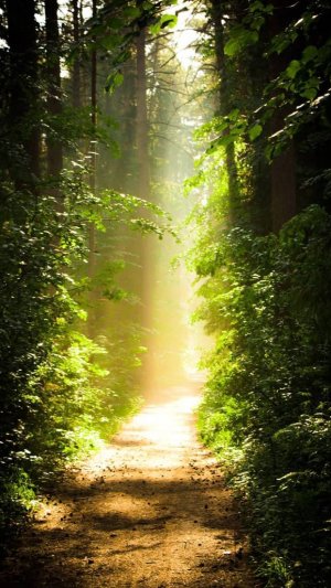 Мои в Рай тропинки