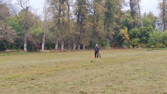 1.  выражено/пож SAN-RATHELLE FENIKS (San-Rathelle Dakar – Team Zilber Wasserfall Oktava 2015)