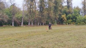 1.  выражено/пож SAN-RATHELLE FENIKS (San-Rathelle Dakar – Team Zilber Wasserfall Oktava 2015)